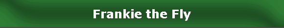Frankie the Fly